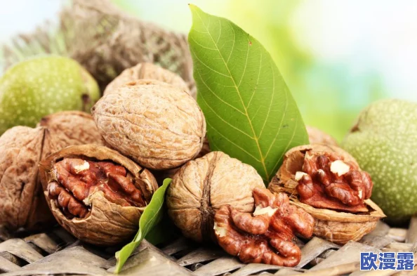 胡桃座旅行者吃胡萝卜，分享独特的美食体验与旅途中的趣事，引发网友热议和关注