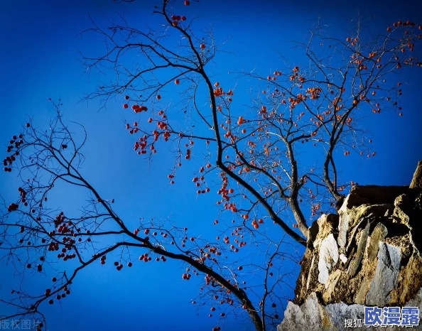 男生被困在女装硅胶皮套里出不来:探讨硅胶材料的特性与对身体的影响以及相关安全问题 男生被困在女装硅胶皮套里出不来:探讨硅胶材料的特性与对身体的影响以及相关安全问题